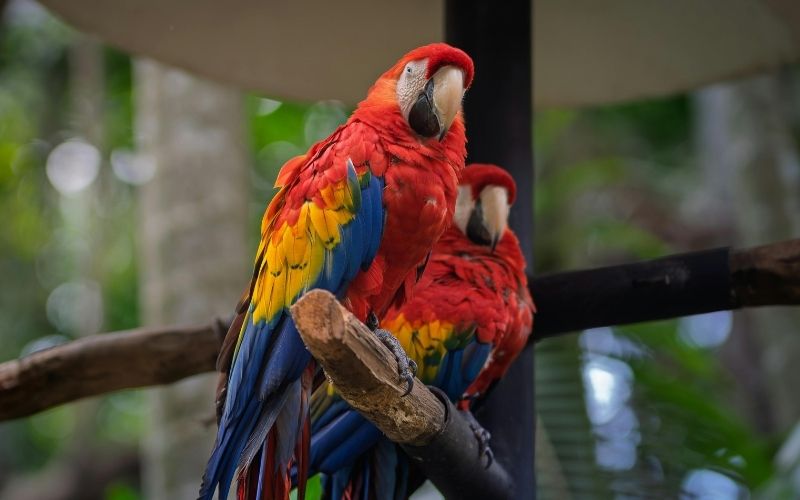 Costa Rica